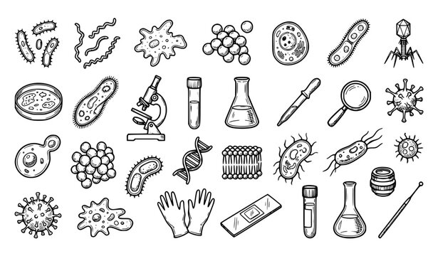 Microbiology bacteria and microorganism scientific sketch icon vector set