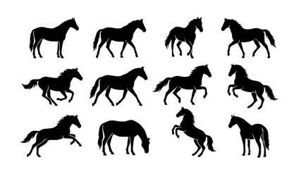 Obraz premium Horse Silhouette Collection with Walking Galloping and Rearing Equine Poses