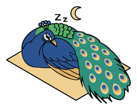 Sleeping Indian peacock vector illustration isolated.... Generative AI
