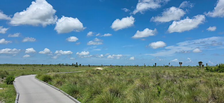Palo Alto Battlefield National Historical Park