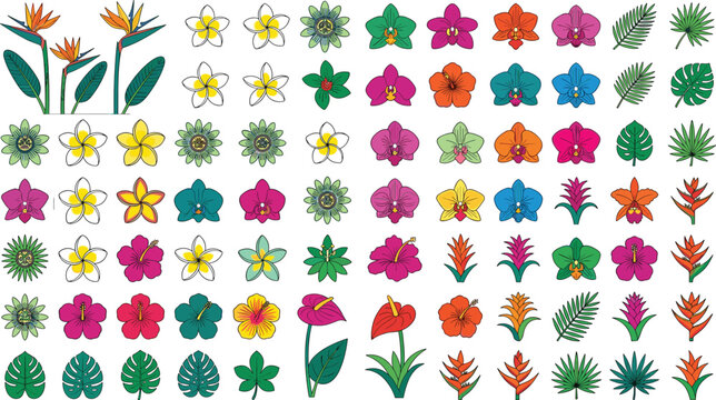 Tropical flowers and exotic leaves vector set with colorful floral elements and plants
