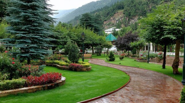 Path through a garden with trees and plants on a rainy day in a mountainous area