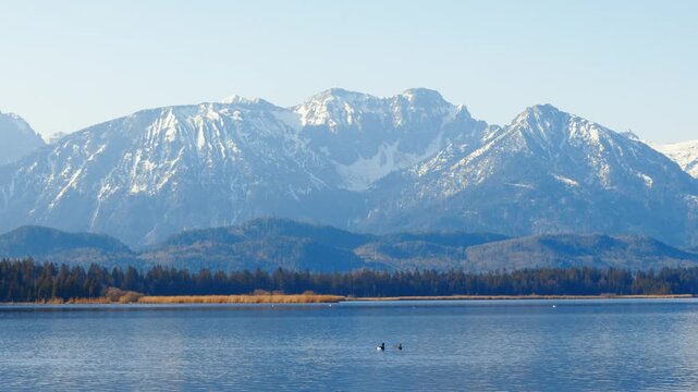 Snow-covered Bavarian Alps rising behind a calm alpine lake near F&uuml;ssen, Germany, with forested foothills under a clear blue winter sky.