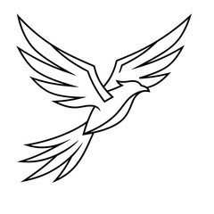 Fototapeta premium Stylized Bird Line Art