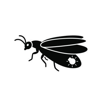 Firefly lightning bug silhouette, summer night insect