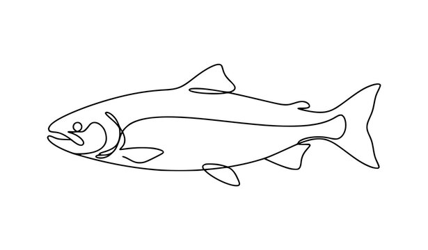 Elegant Salmon Fish Continuous Line Drawing Swimming Left Minimal Vector Icon