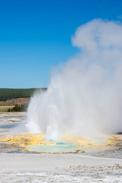 Clepsydra Geyser erupting with yellow minerals at base and small hot spring, sunny blue sky day, summer vacation at Yellowstone National Park viewing natural geothermal features
