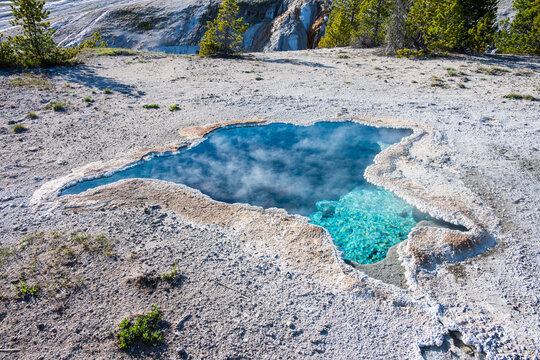 Blue Star Spring, bright blue hot spring in the upper geyser basin near Old Faithful Inn, summer vacation at Yellowstone National Park viewing natural geothermal features

