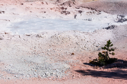 Boiling pink mud of the Fountain Paint Pot mud pot, summer vacation at Yellowstone National Park viewing natural geothermal features
