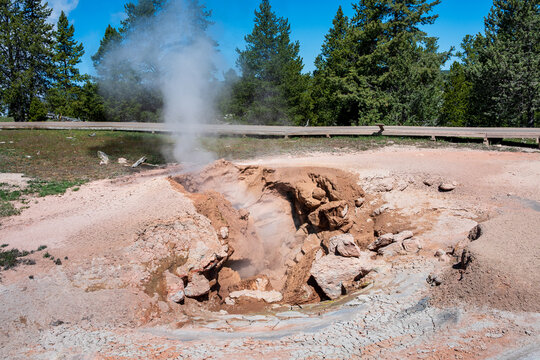 Steaming fumarole off the Fountain Paint Pot boardwalk trail, summer vacation at Yellowstone National Park viewing natural geothermal features
