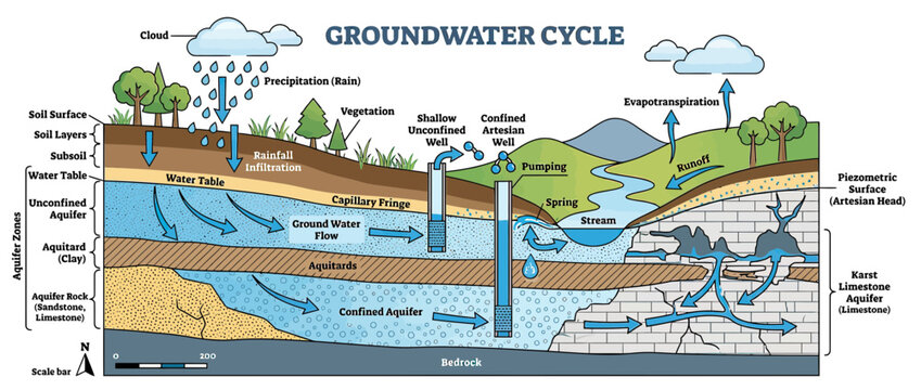 Groundwater Cycle Diagram: Water Flow and Aquifers