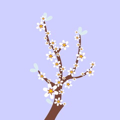 cherry blossom tree © aep