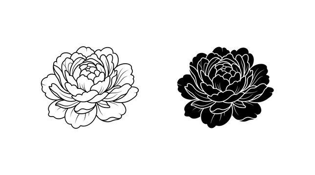 Peony flower icon set isolated on transparent background
