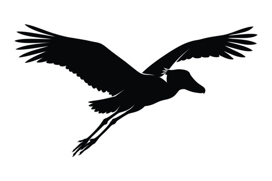 Shoebill stork bird flying silhouette graphic vector illustration with shoebill