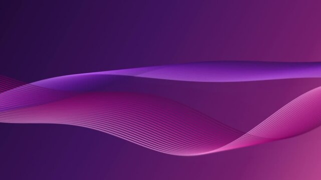 Abstract purple and pink flowing lines creating a smooth animated wave pattern on gradient background motion footage clip.