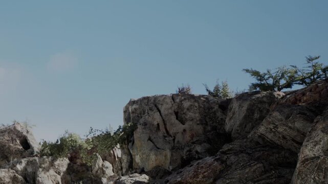 A rocky cliff stands under a clear sky. Small plants and trees are visible on the cliffs edge. The sun is shining, creating bright light on the rocks and foliage.