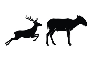 Fototapeta premium Wild deer running and grazing forest animals vector illustration with wildlife