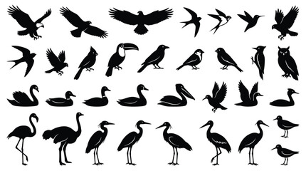 Naklejka premium Detailed black bird silhouettes collection featuring various species of wildlife in flight and standing poses