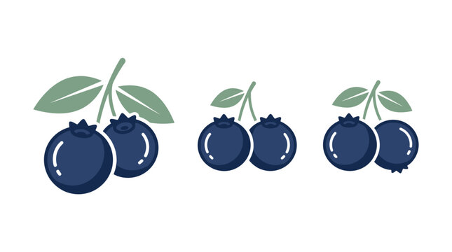 Stylized vector illustration featuring multiple ripe blue blueberries with green leaves on a white background