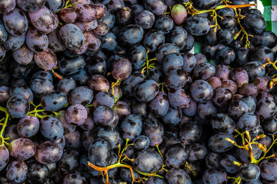 High angle view of ripe dark blue and black grapes at a traditional street market in Brazil, showcasing texture, natural light, and fresh organic produce.