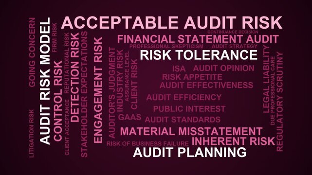 Acceptable Audit Risk Word Cloud