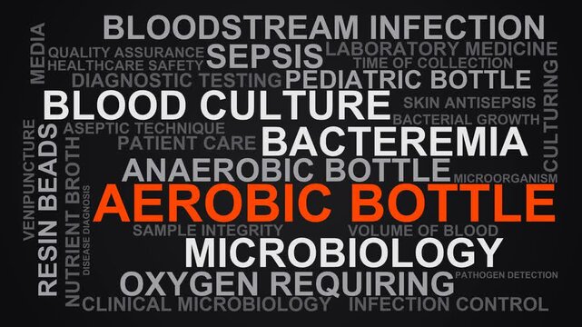 Aerobic Bottle Word Cloud