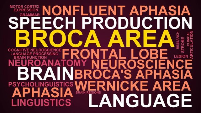 Broca Area Word Cloud