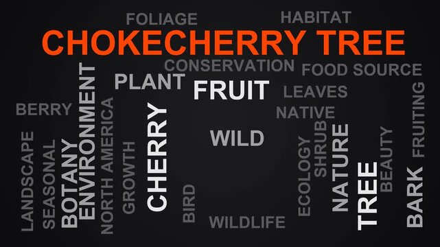 Chokecherry Tree Word Cloud