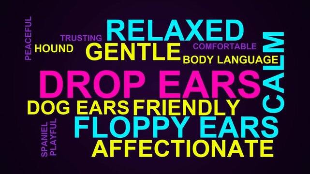 Drop Ears Word Cloud
