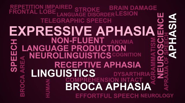 Expressive Aphasia Word Cloud
