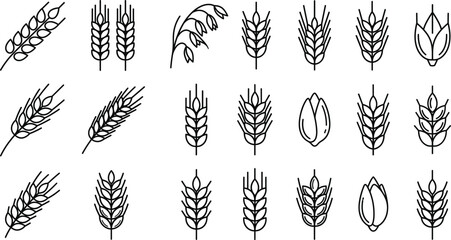 Naklejka premium Wheat ear line icon set vector organic grain cereal agriculture barley rye oat agriculture seed food harvest spikelet