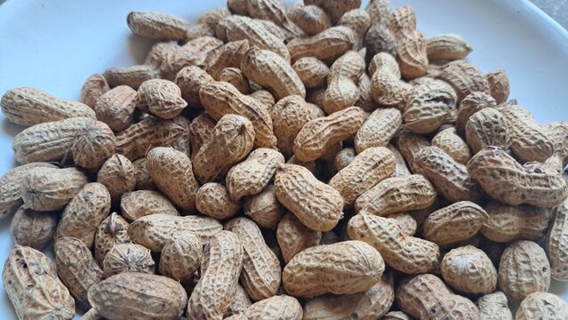 peanut food texture close up
