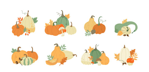 Fototapeta premium Pumpkin Harvest Autumn Compositions Set