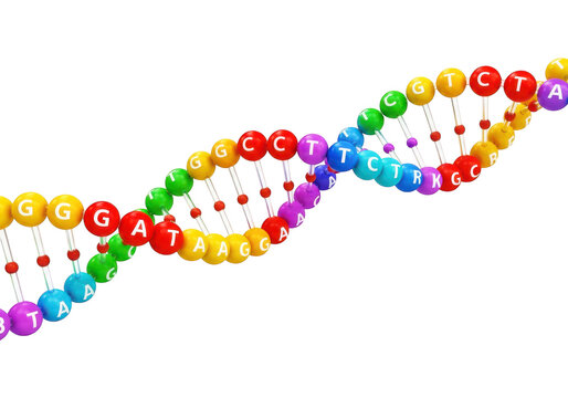 Colorful dna molecule model with nucleotide bases and genetic code sequence for science and education representation.