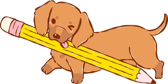 Cute Dachshund Back to School Dog Holding Pencil Cartoon Hand Drawn