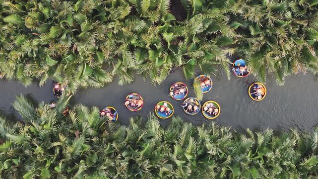 Aerial view of the natural scenery of basket boats on the Thu Bon River across palm trees in Hoi An Ancient Town, Vietnam