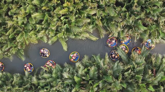 Aerial view of the natural scenery of basket boats on the Thu Bon River in Hoi An Ancient Town, Vietnam