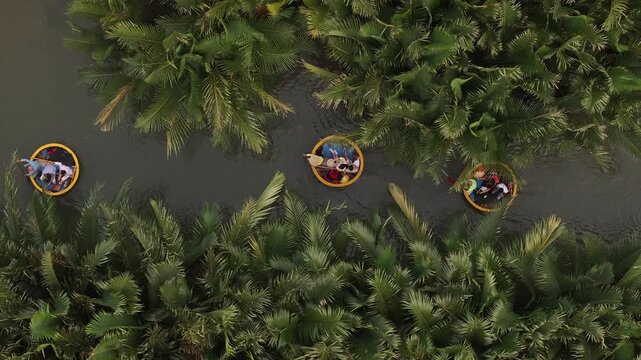 Aerial view of the natural scenery of basket boats on the Thu Bon River in Hoi An Ancient Town, Vietnam