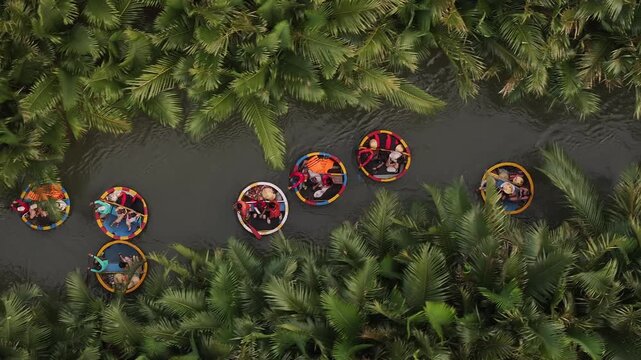 Aerial view of the natural scenery of basket boats on the Thu Bon River across palm trees in Hoi An Ancient Town, Vietnam