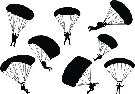 Set of black silhouettes showing skydivers with open parachutes in various descent positions, isolated on a white background