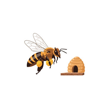 Honey bee flying near a beehive, isolated