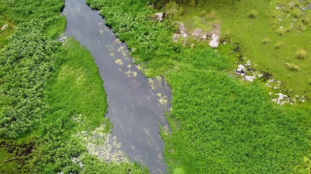 Aerial rising over river at Nino Konis Santana National Park of Lautem District, Timor-Leste, Southeast Asia