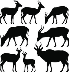 Naklejka premium Black silhouettes of running wildebeests or antelopes in a row herd