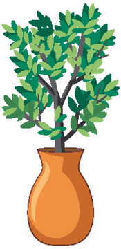 Vector Illustration of a Mediterranean Olive Tree in a Terracotta Vase