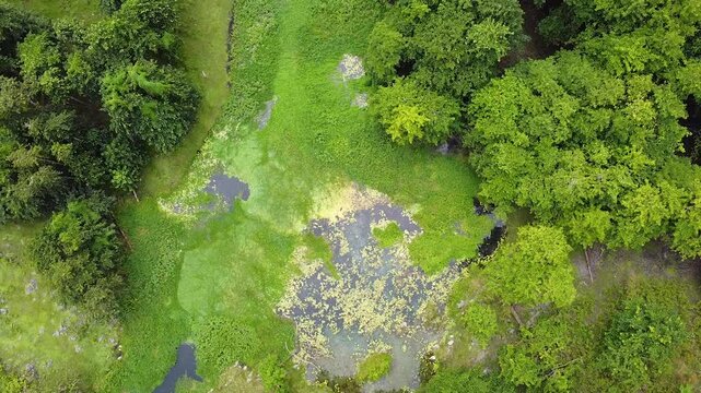 Aerial birdseye view rising above river and green landscape of Nino Konis Santana National Park of Lautem District, Timor-Leste, Southeast Asia
