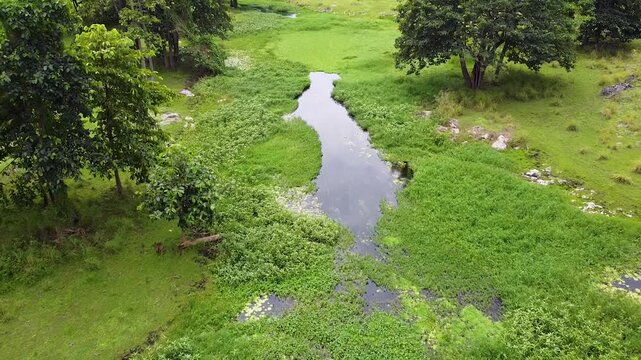 Aerial flying over river waterway in crocodile territory Nino Konis Santana National Park of Lautem District, Timor-Leste, Southeast Asia