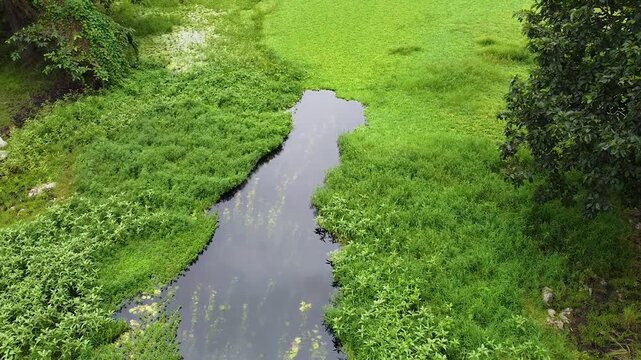 Aerial drone fly over over river in Nino Konis Santana National Park of Lautem District, Timor-Leste, Southeast Asia