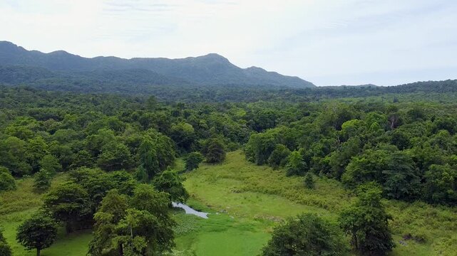 Aerial lowering over grassland plains with tress at Nino Konis Santana National Park, Lautem District, Timor-Leste, Southeast Asia