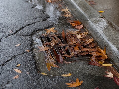 Storm drain clogged with wet autumn leaves on a rainy road