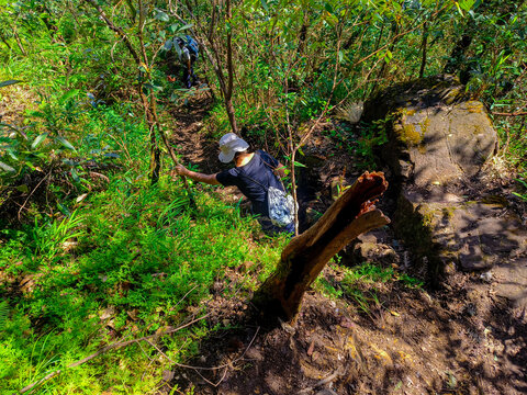 Tak Province, Thailand, Octobet 13, 2025 : View during the hike in Lerkwador Mountain or Mountain of Faith view at Mae Wa Luang, Tha Song Yang District, Tak,Thailand